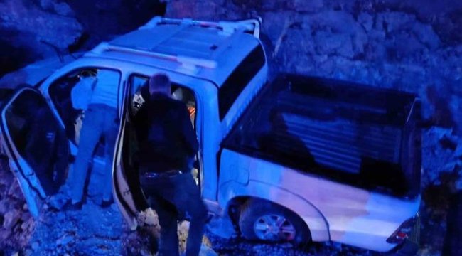 Mardin'de pikap şarampole devrildi: 1 yaralı