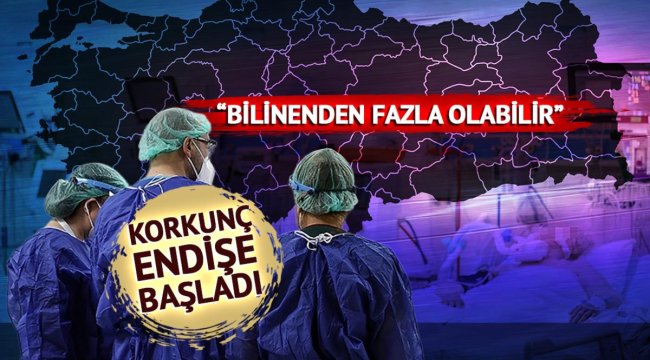 Ölümcül hastalık yıllar sonra Türkiye'de! Korkunç belirtilere sahip deli dana vakaları panikletti: "Yenileri de ortaya çıkabilir"