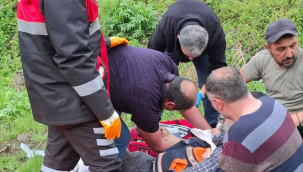 Sivas'ta mantar toplarken ayının saldırısına uğrayan kişi yaralandı